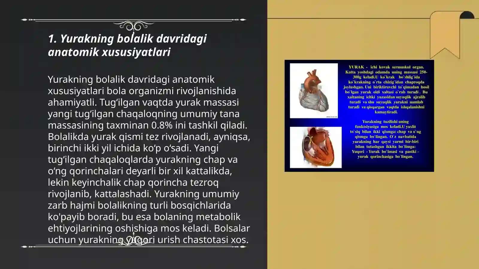 Yurakning yosh xususiyatlari va funksiyalari 3