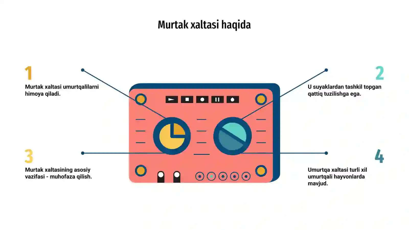 MURTAK XALTASI VA MURTAK XALTASIZ UMURTQALILAR XOS HUSUSIYAT 3