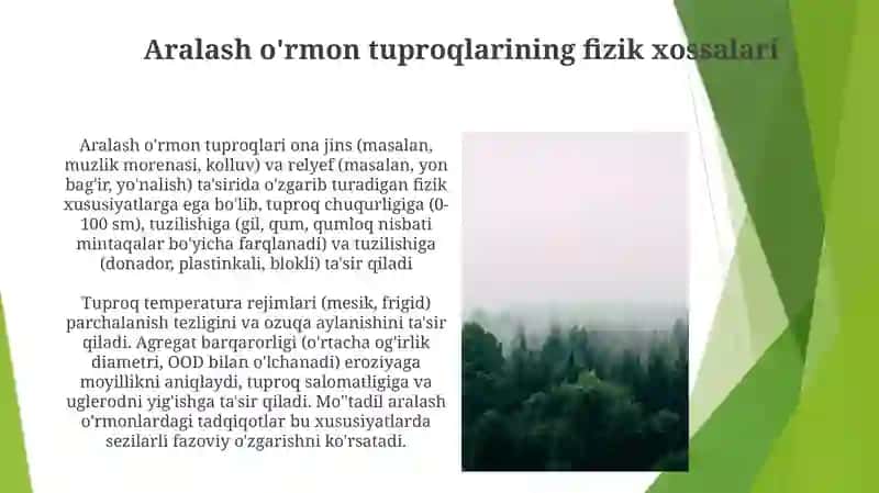 Aralash oʻrmonlar tuproqlarini oʻrganish 3