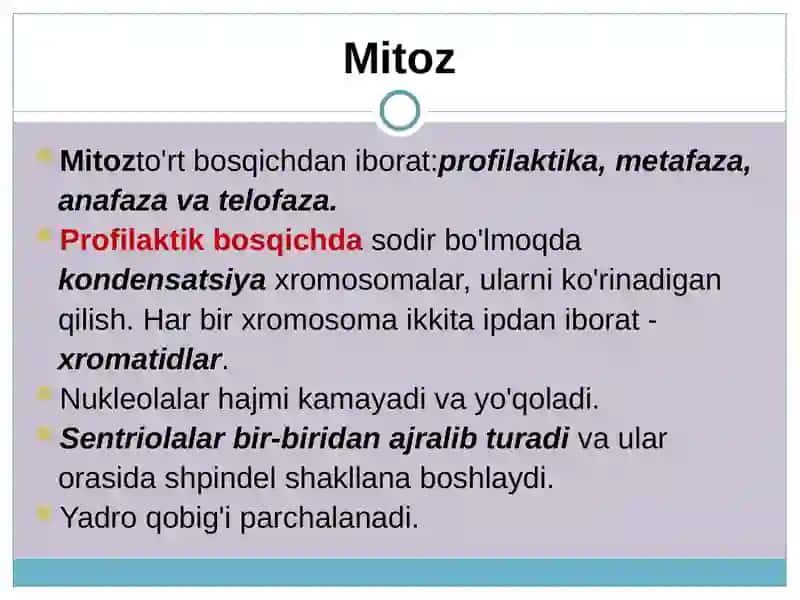 Hujayra bo'linishi 3