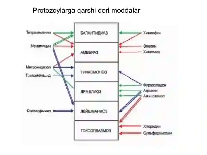Протозооларга қарши моддалар 3