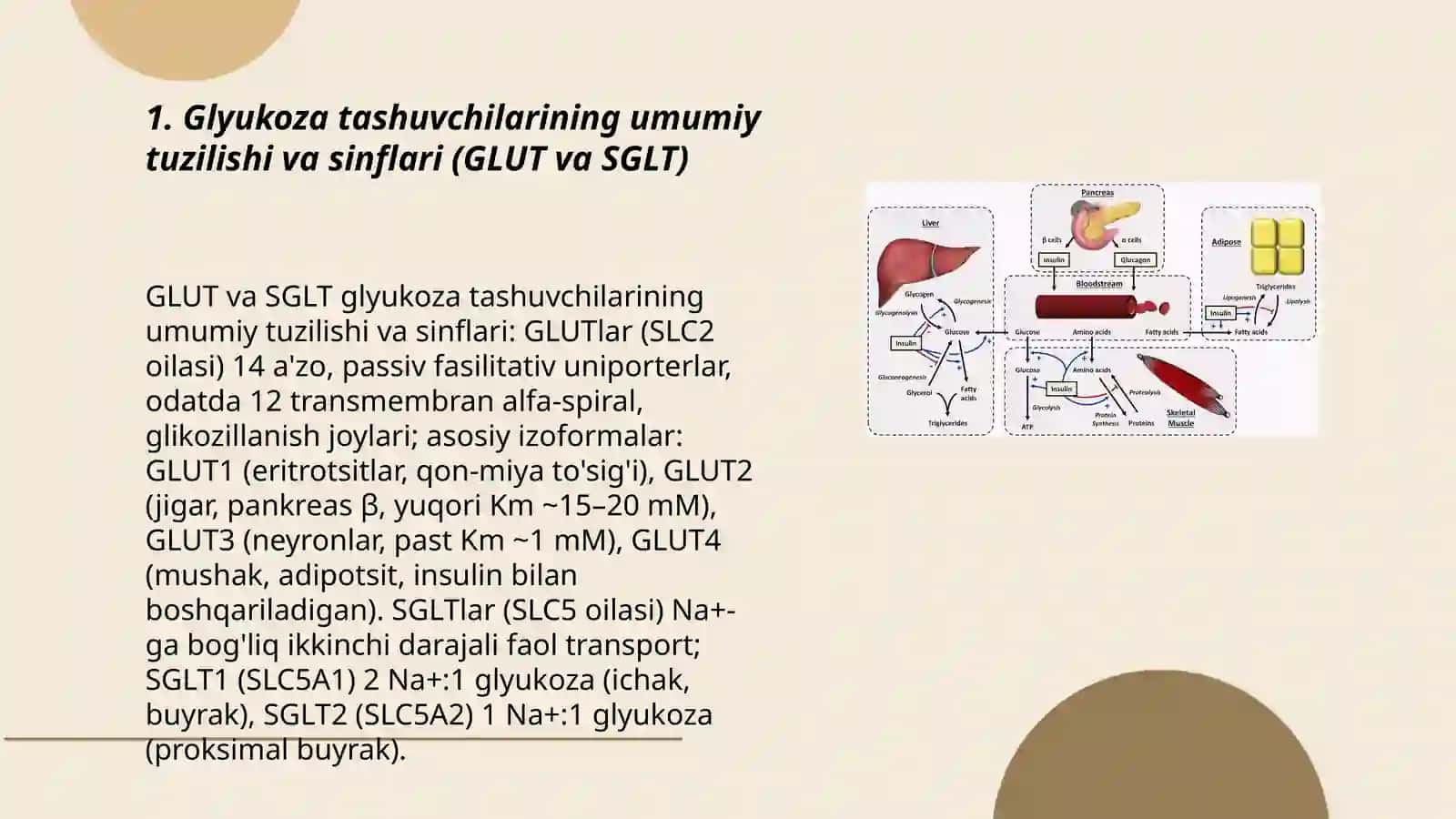 Glyukoza tashuvchilarining tuzilishi, spesifikligi, klinik ahamiyati 3