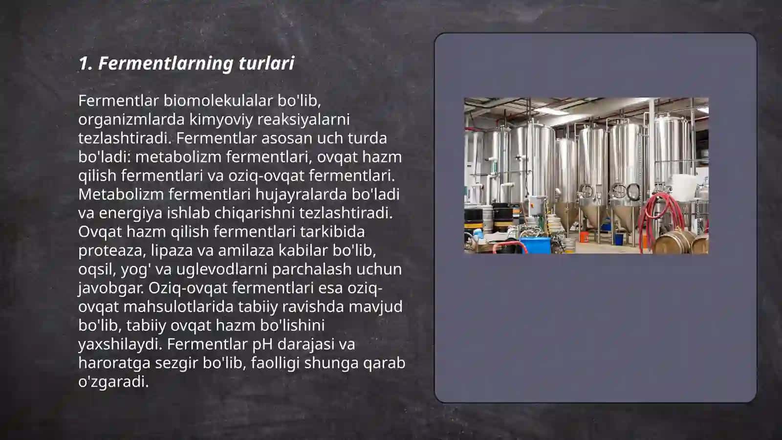 Fermentlar 3