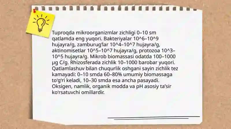 Mikroorganizmlarning tarqalish muhiti va ekologik omillari 3