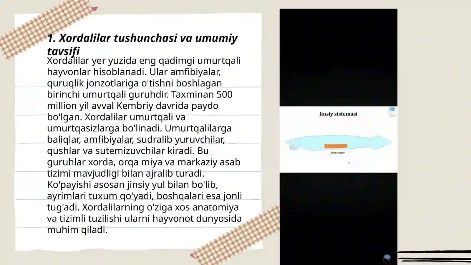 Xordalilarning muhim belgilari va ularning biologik ahamiyati 3