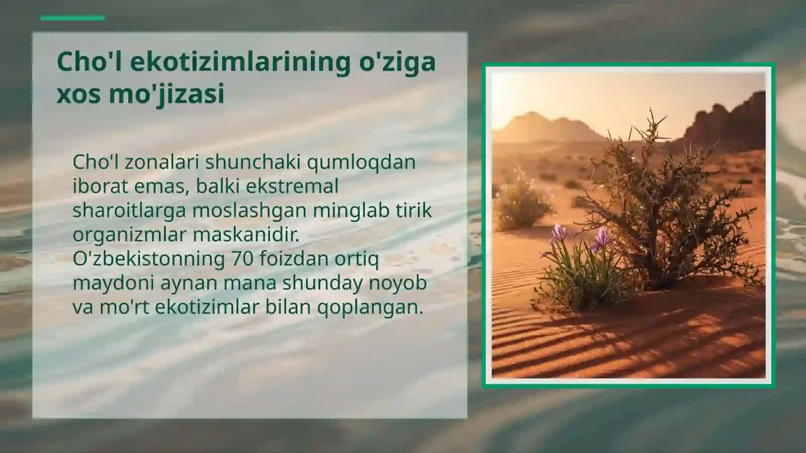 O'zbekistondagi bioxilma-xillik va uni himoya qilish 3