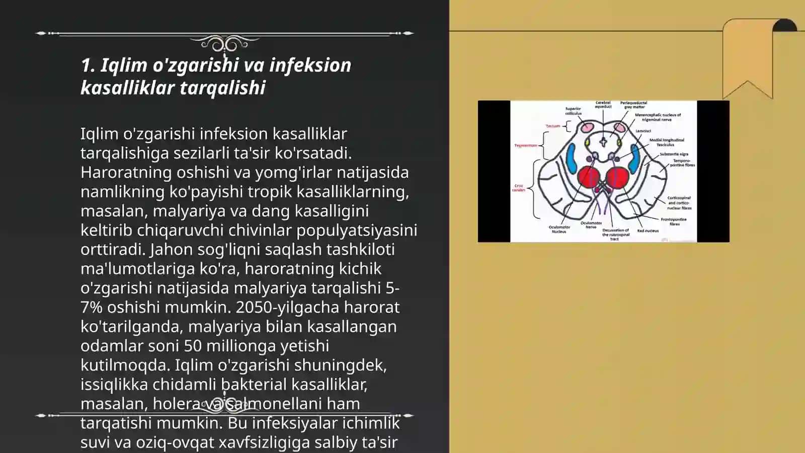 Patalogik anatomiya fanidan 3