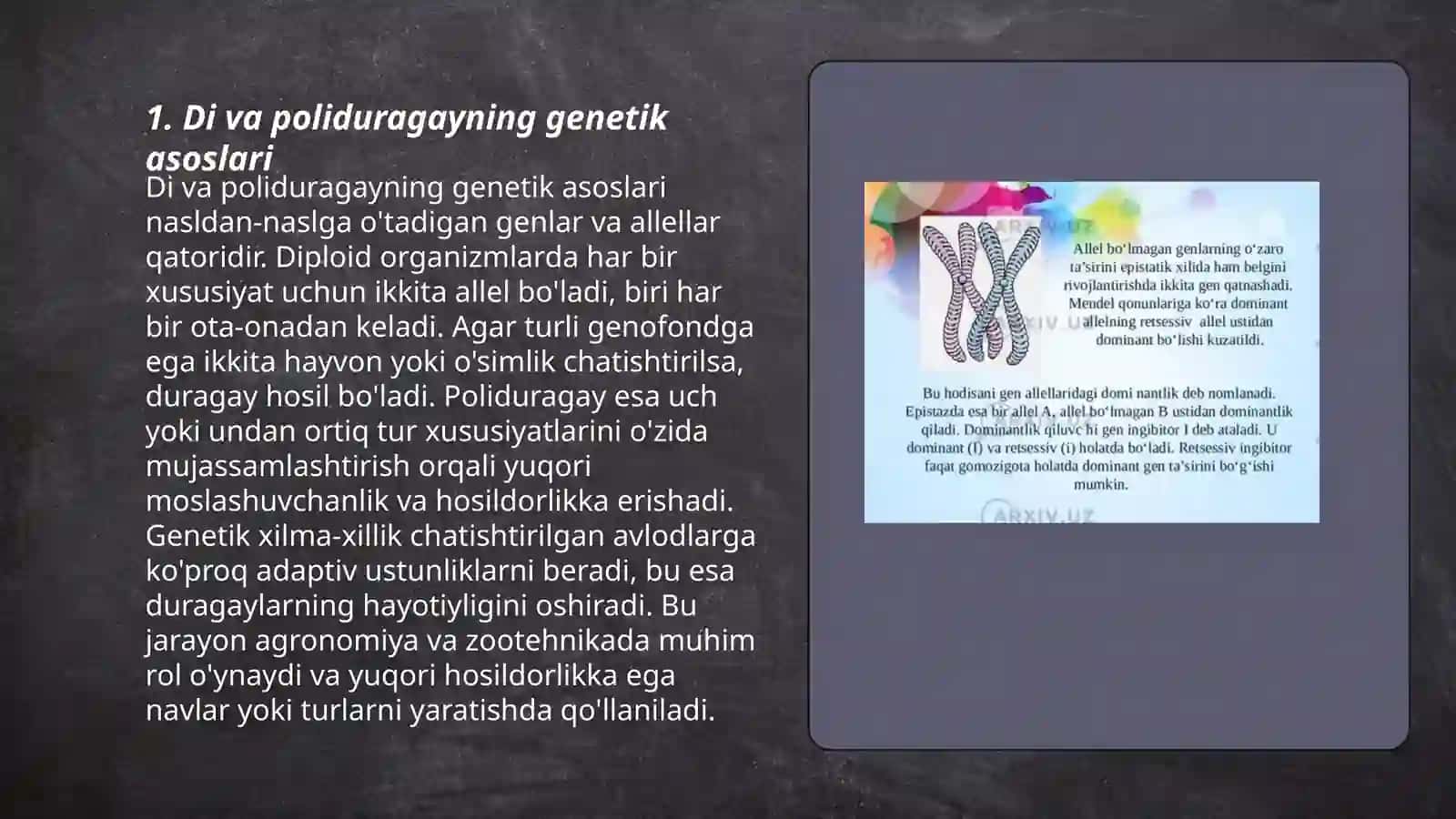 Di va poliduragay chatishtirish. Allel bo'lmagan genlarning o'zaro ta'siri 3