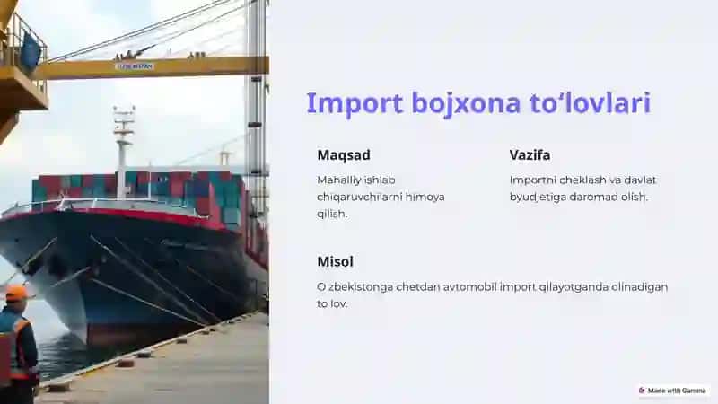 Bojxona toʻlovlari: Ta'rif va ahamiyat 3