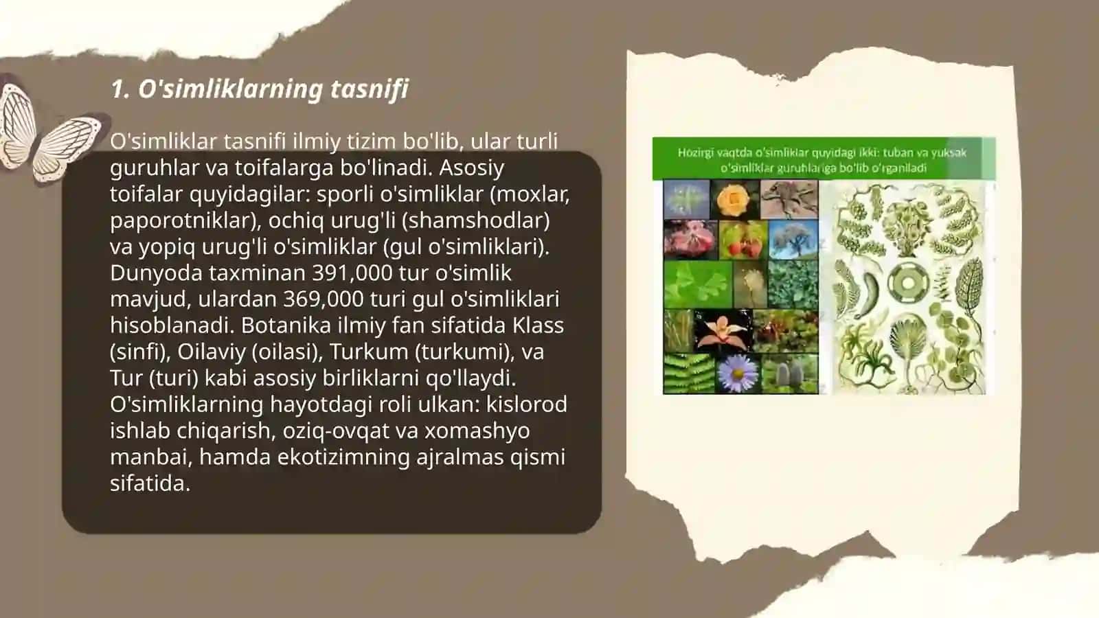 O'simliklar sistematikasi va ekologiyasi 3
