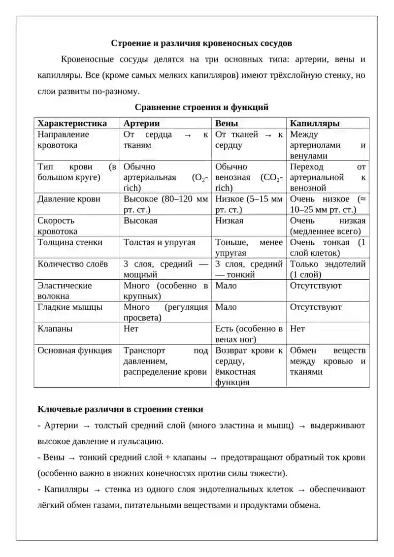Состав крови. Строение и различия кровеносных сосудов 3