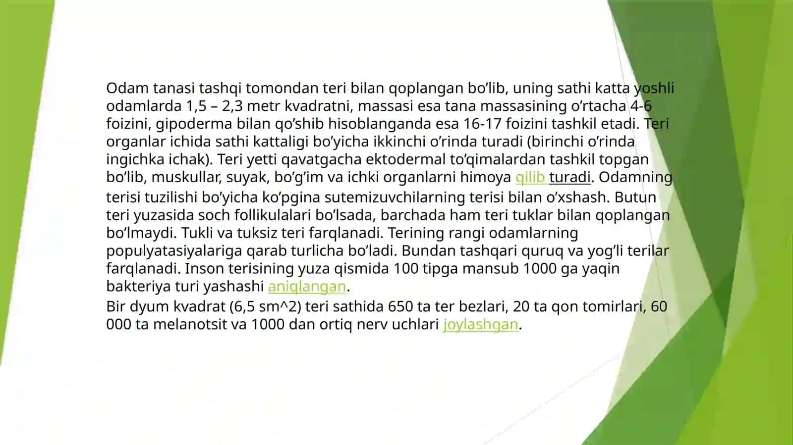 Terivaunung xossalari 3