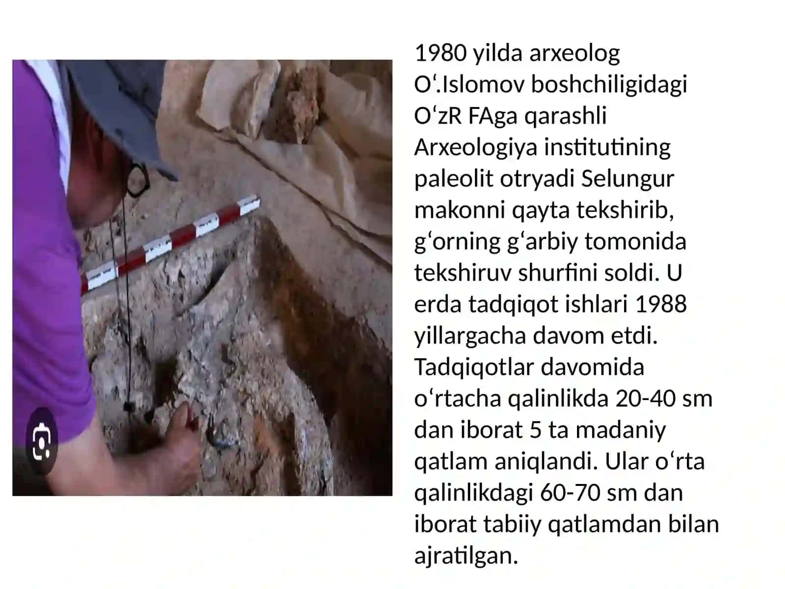 Selungurğori 3