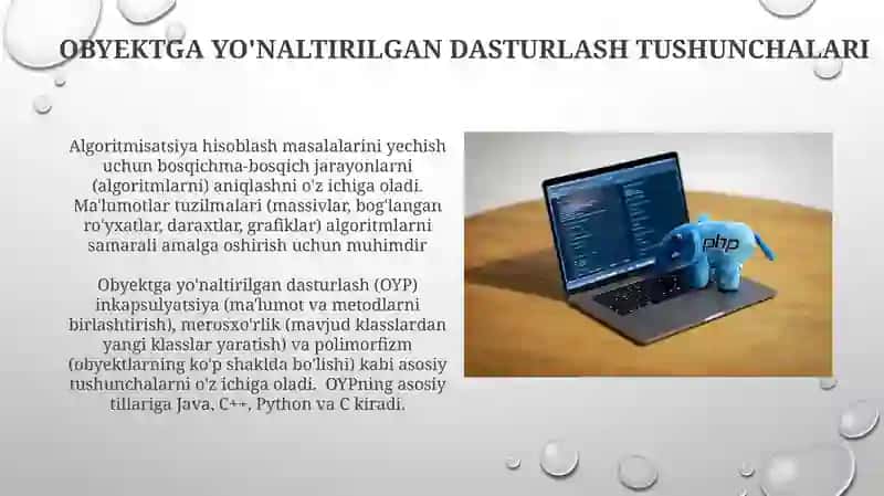 Algaritimlashtirish va dasturlash asoslari 3