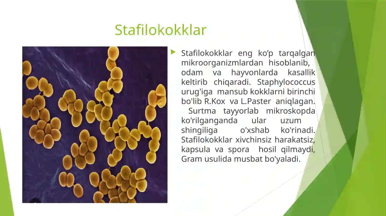 Tibbiyot mikrobiologiyasi 3