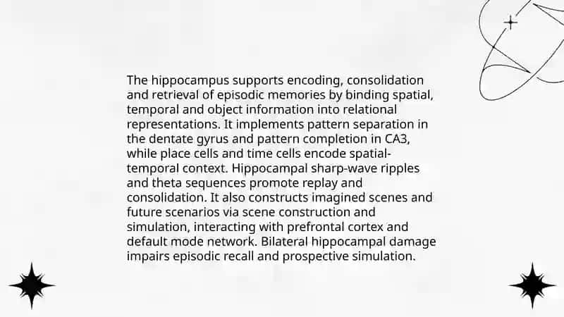memory and imagination neurophysiological foundations, types and processes 3