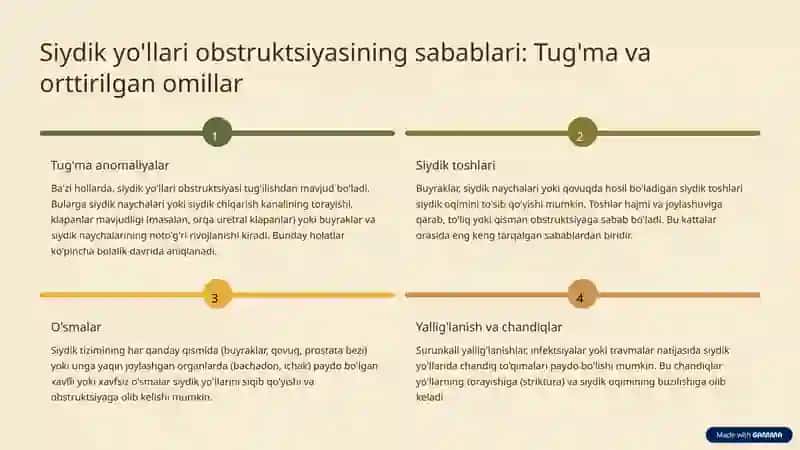 Siydik yo'llari obstruktsiyasi 3