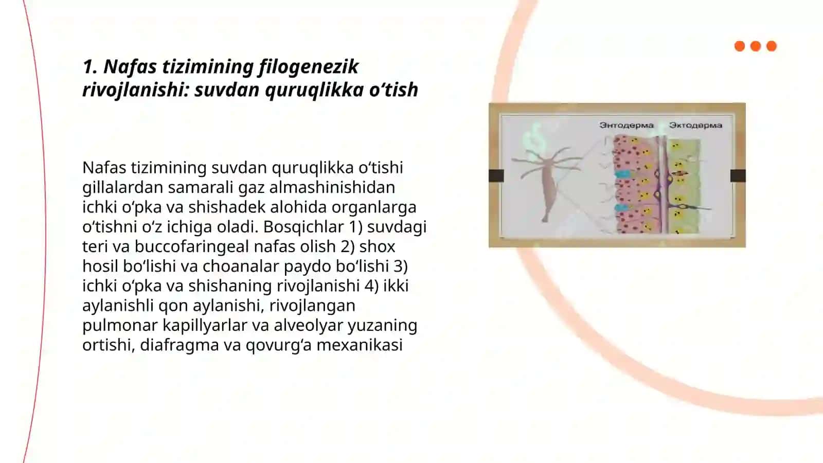 Nafas tizimi filogenezi va buzilishlari 3