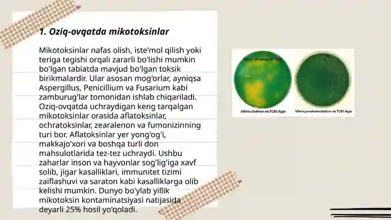 Oziq - ovqat tarkibidagi mikrobiologik toksik birikmalar 3