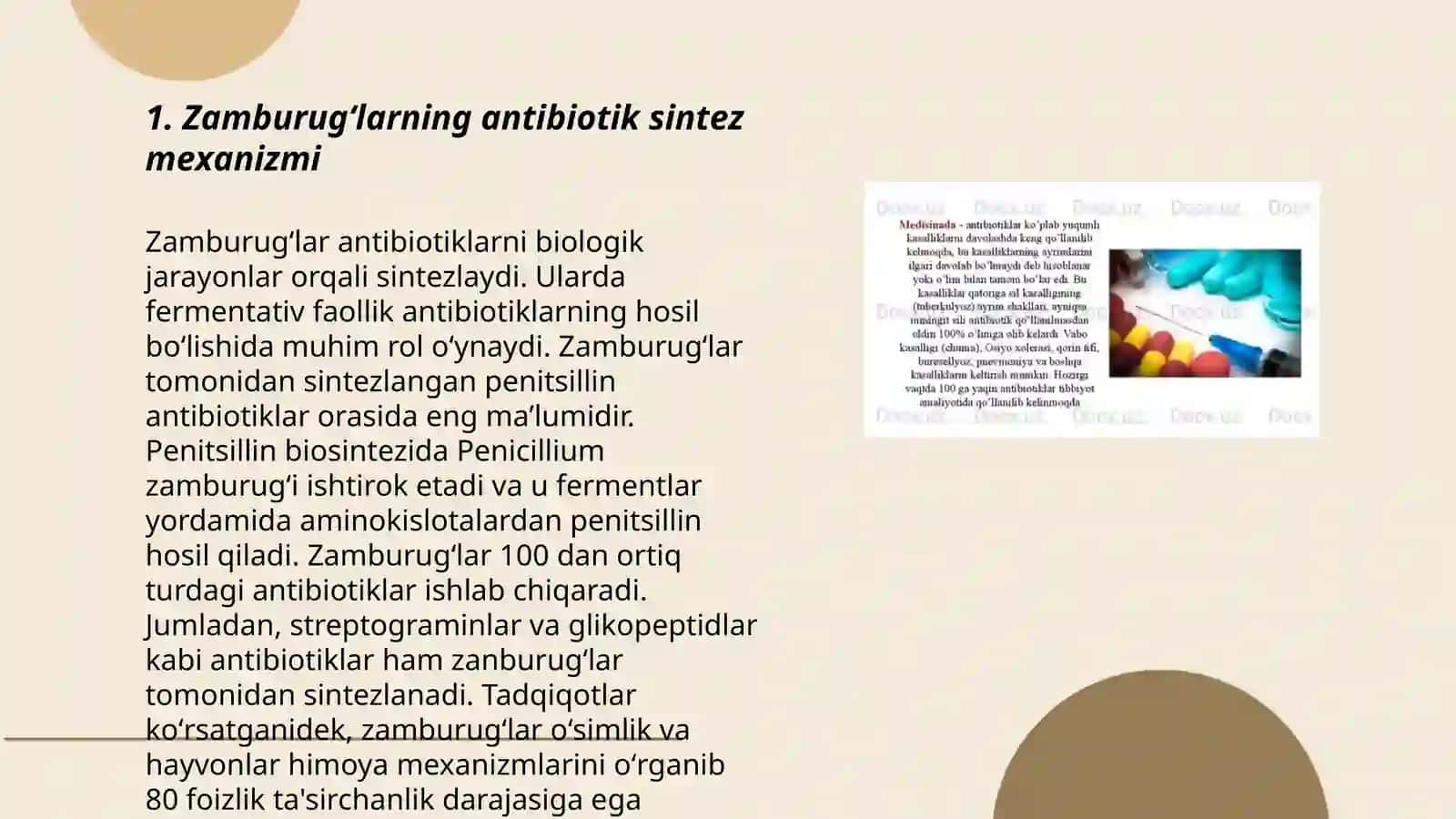 Zamburugʻlar sintez qiladigan antibiotiklar 3