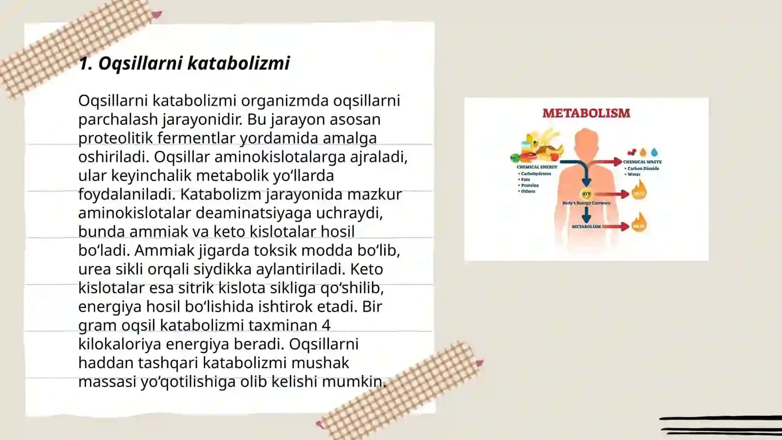 Metabolizm jarayonida energiya hosil boʻlishi va sarflanishi 3