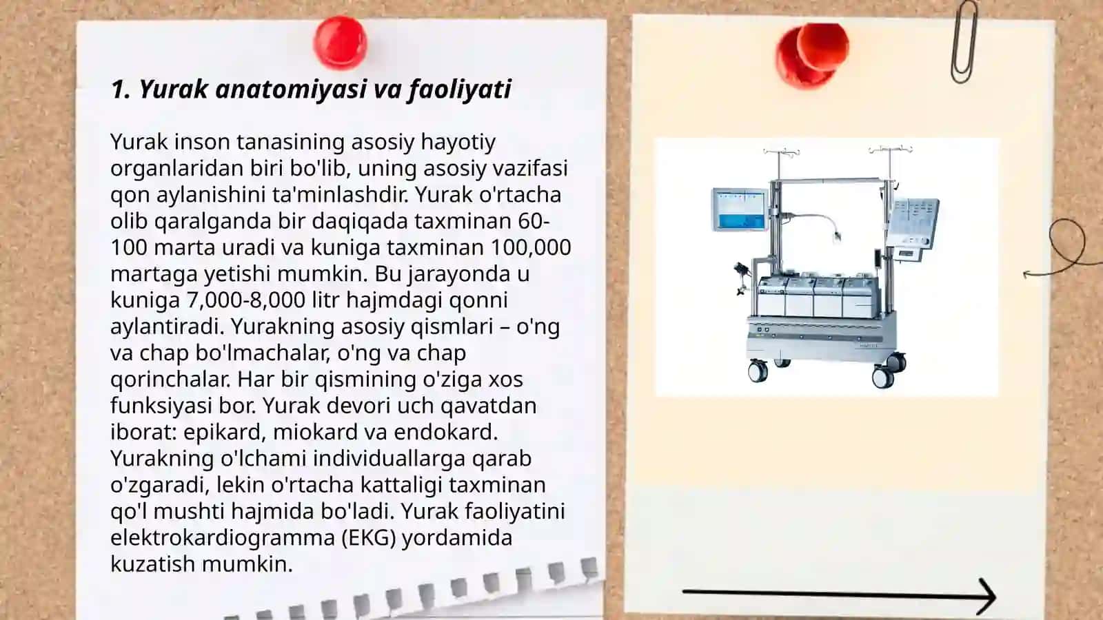 Yurak faoliyatining fizik asoslari 3