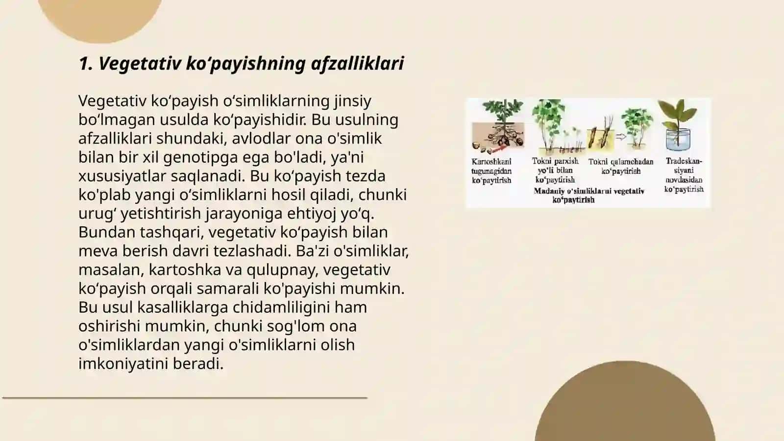 Vegetativ koʻpayish usullari 3