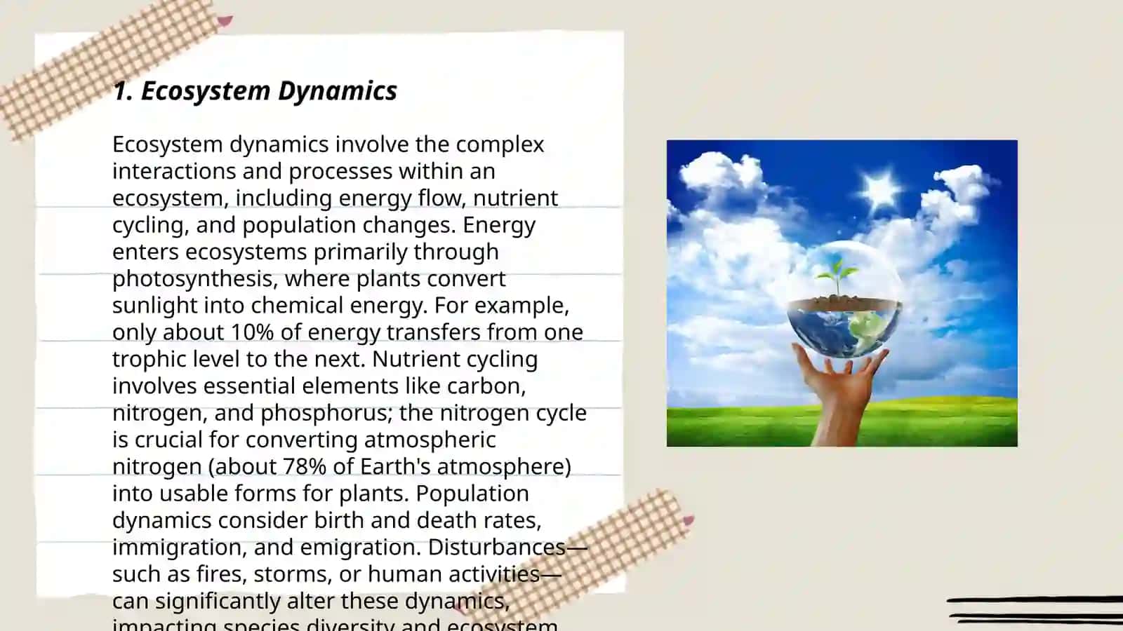 Ecology by Sharapova Nargiza Abdugapporovna 3