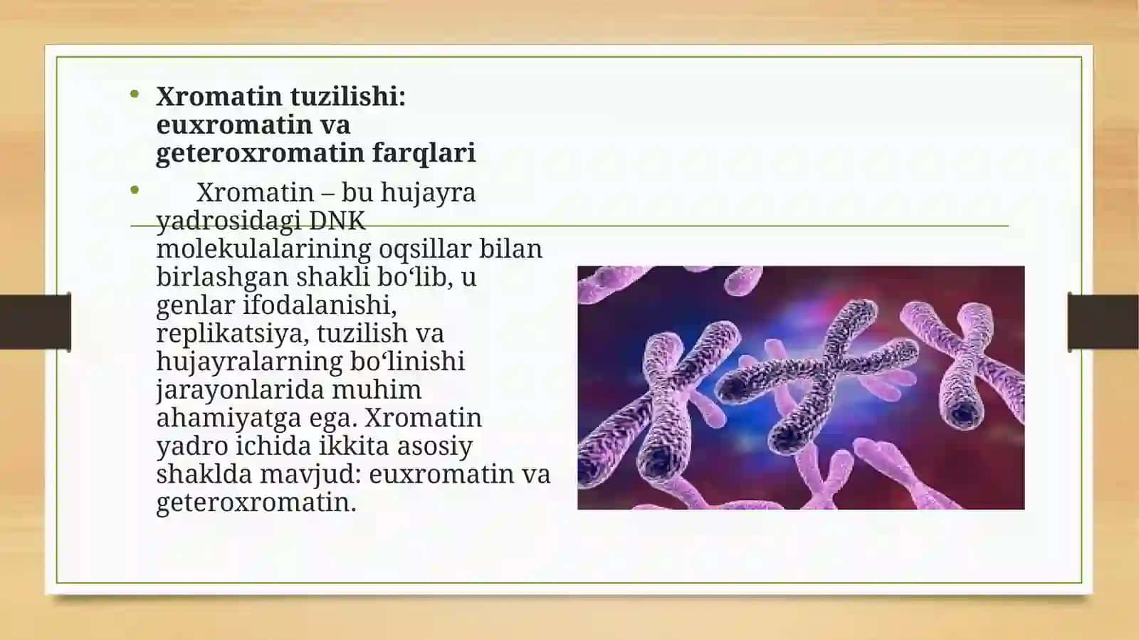 Xromatin va uning funksiyalari 3