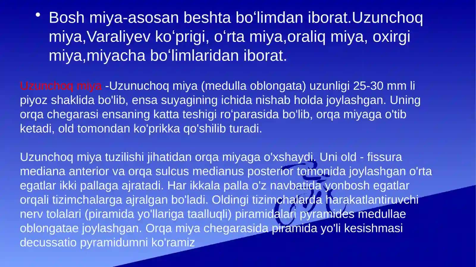 bosh miya turli boʻlimlarining faoliyatini oʻrganish prezintatsiya 3