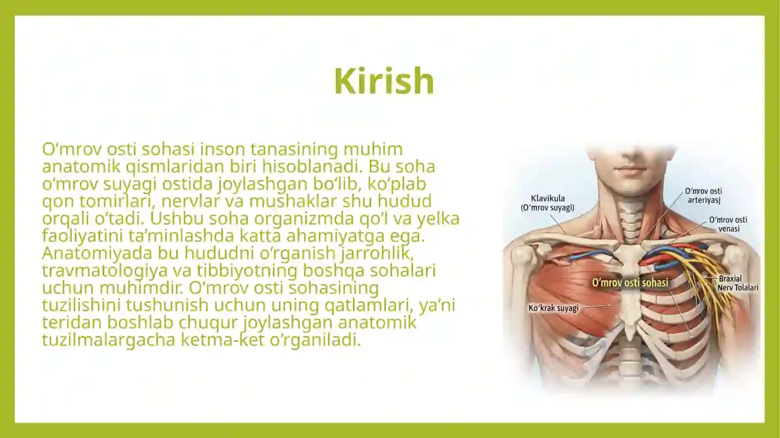 Oʻmrov osti sohasi 3