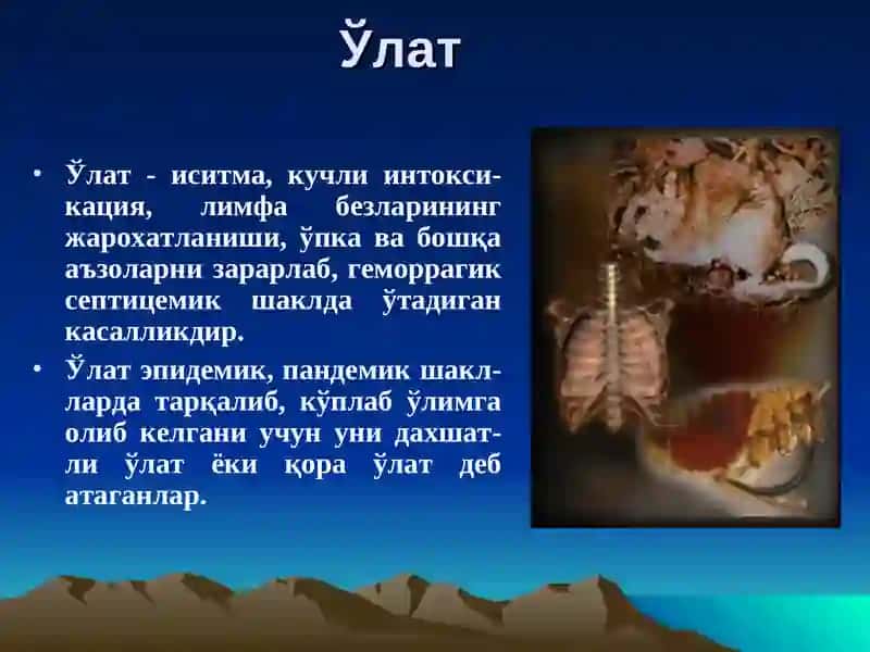 Ўлат 3