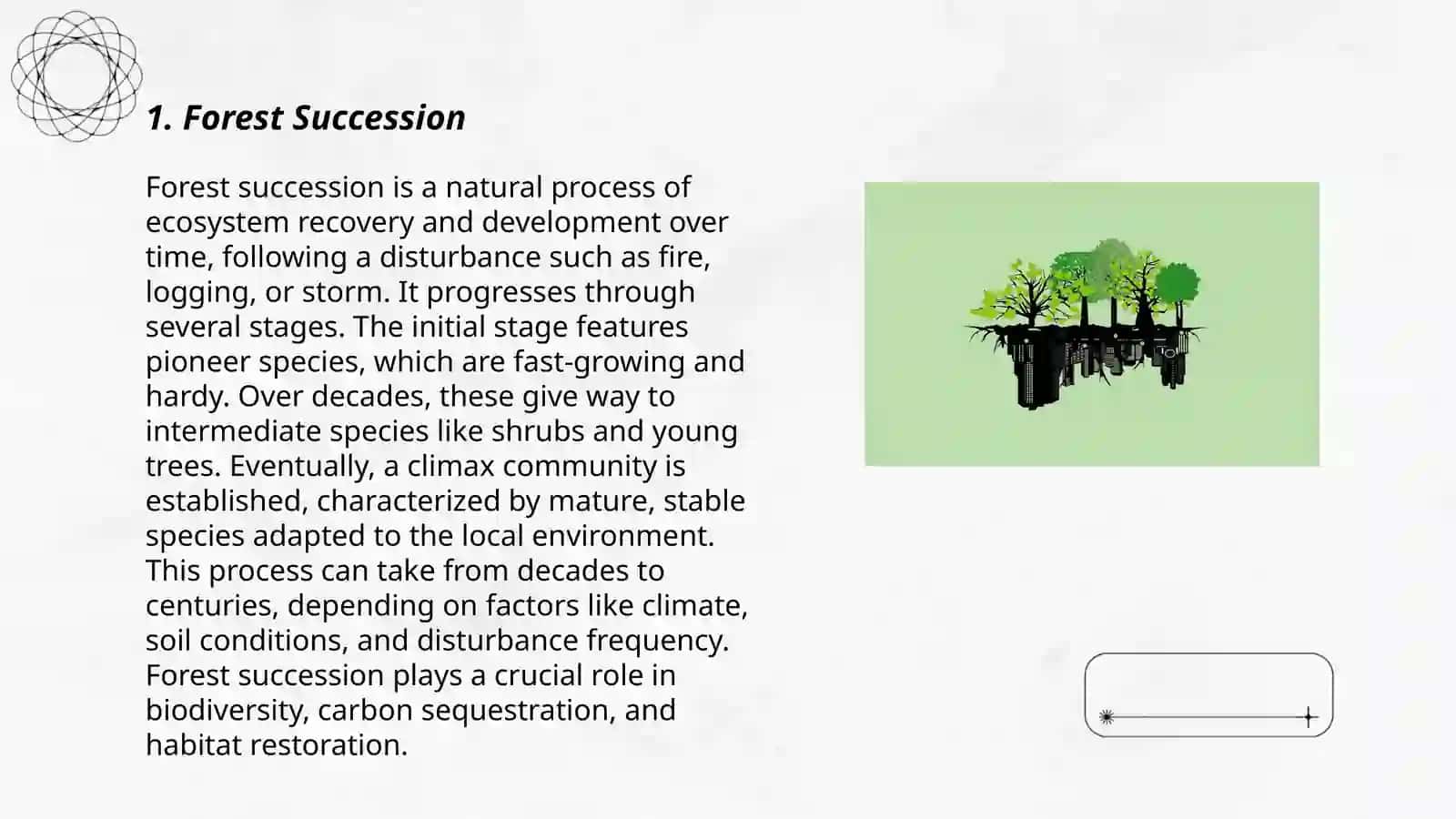 Studying forest ecology 3