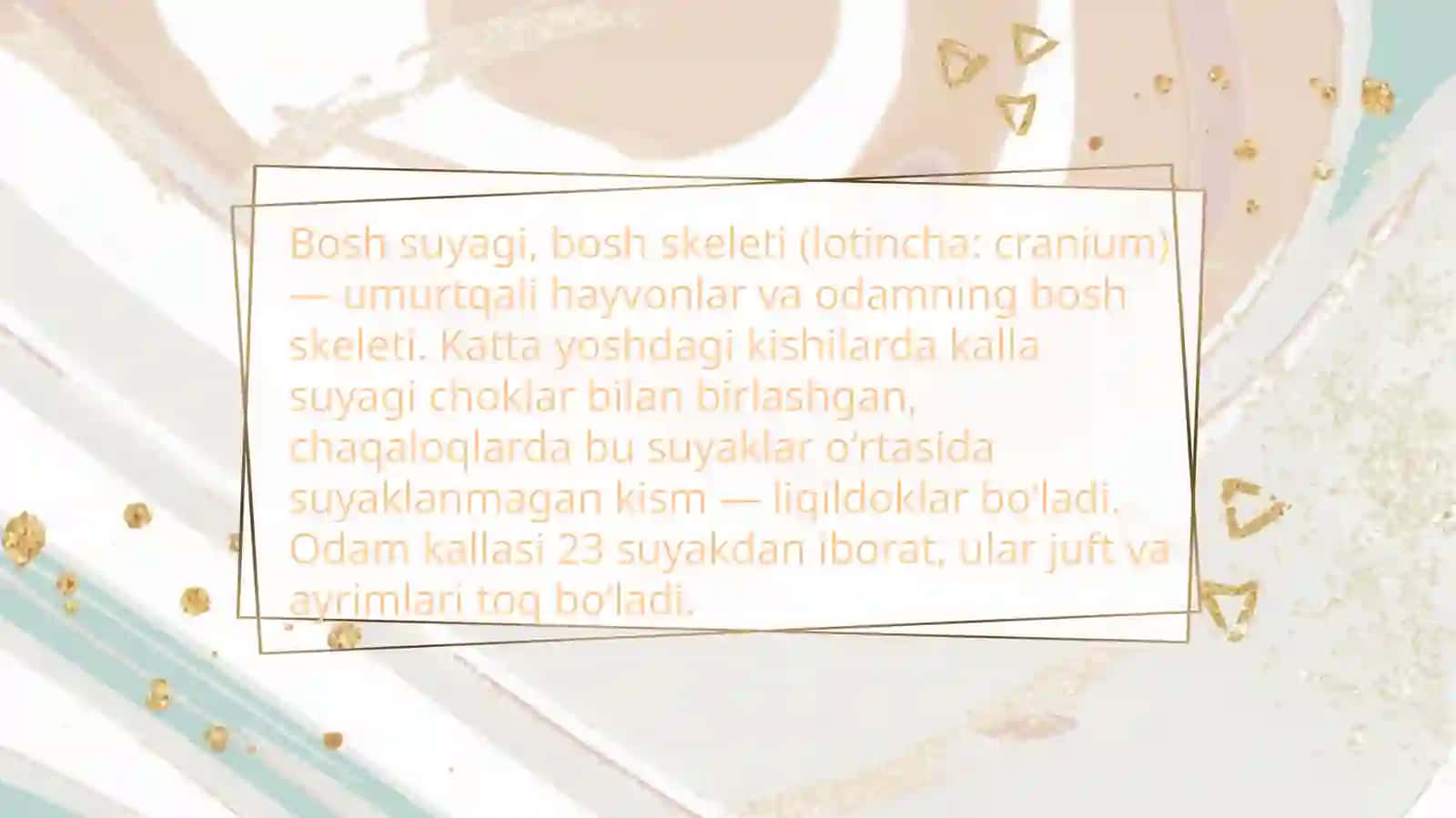 Boshsuyaklarining taraqqiyoti 3