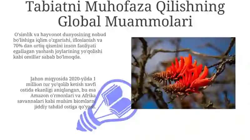 Tahdidlar va Muammolar 3