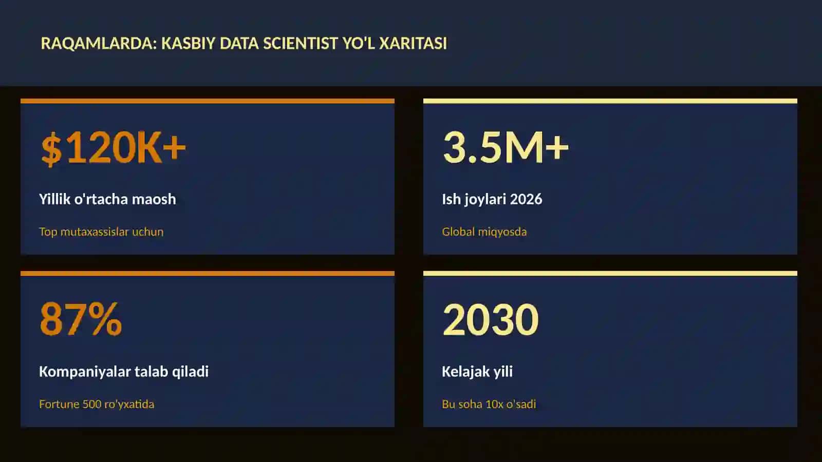 Kasbiy data scientist yo'l xaritasi 3