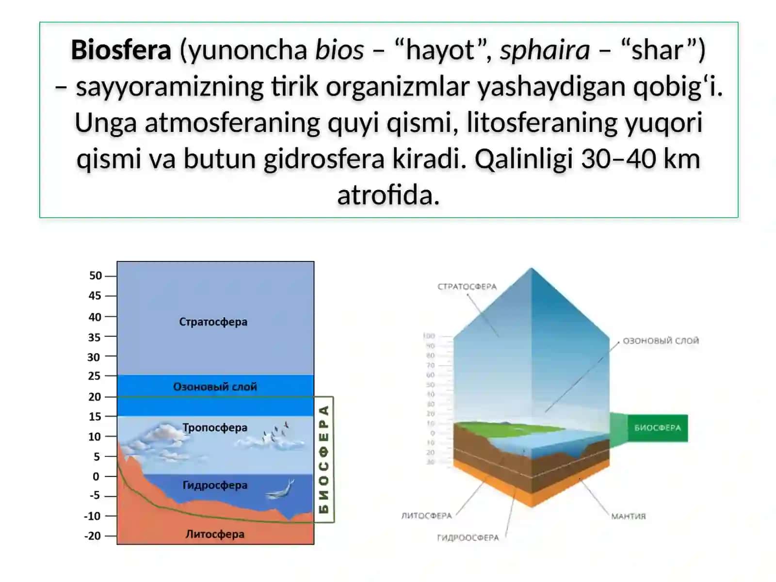 BIOSFERA 3