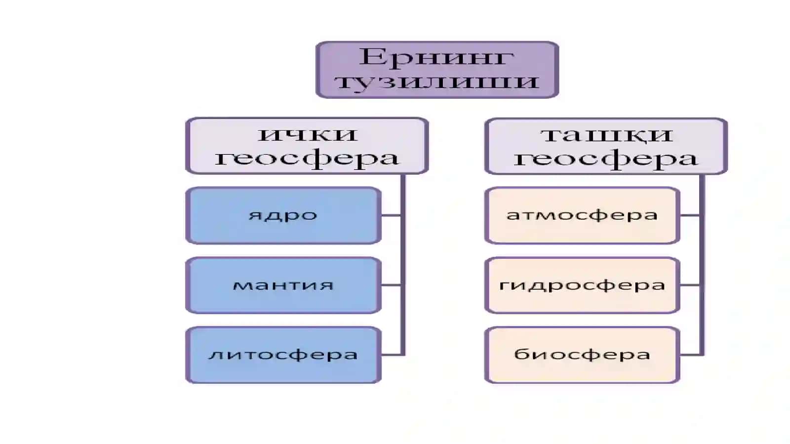 Ернинг тузилиши ва таркиби 3