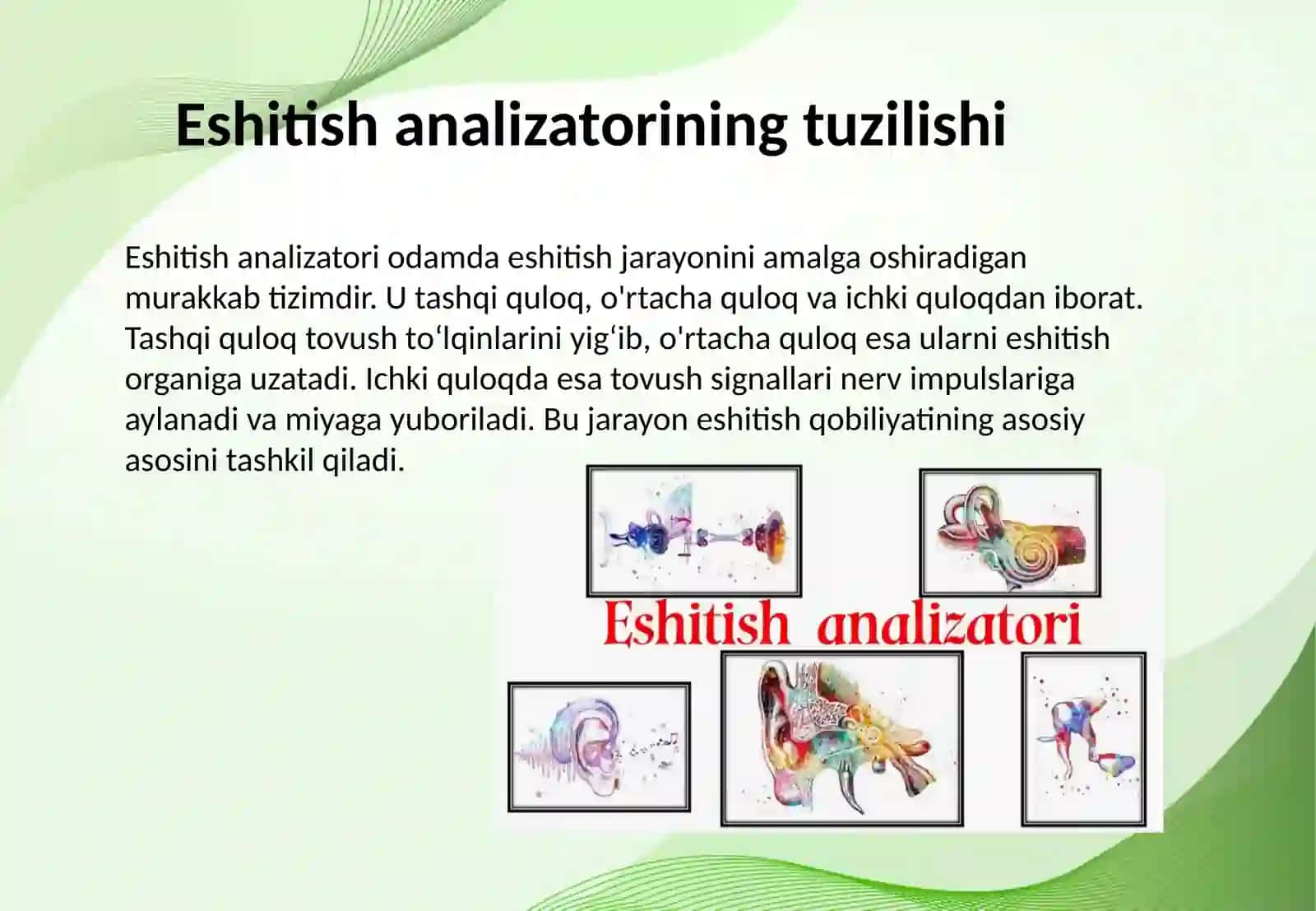 Inson eshitish analizatorini tekshirish usullari 3