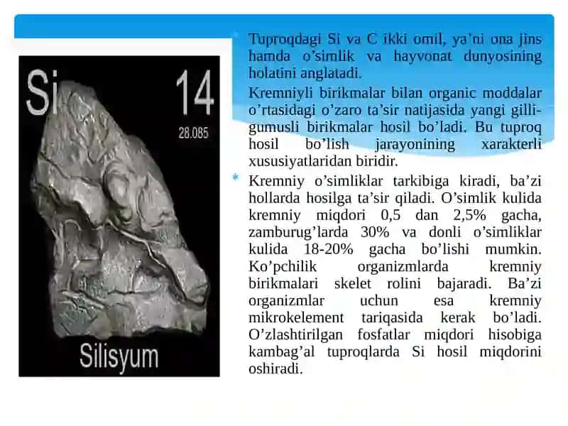 Tuproqdagi kremniy kislotalari va birikmalari 3