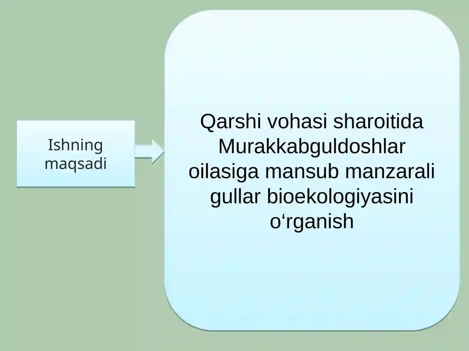 QARSHI VOHASIGA INTRODUKSIYA QILINGAN MURAKKABGULDOSHLAR OILASI VAKILLARINING BIOEKOLOGIK XUSUSIYATLARI 3