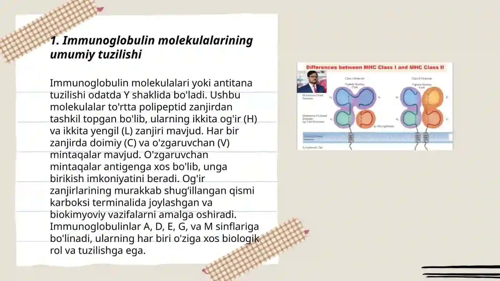Immunoglobulin molekulasining tuzilishi, yengil va og‘ir zanjirlar molekulasining faol markazi 3