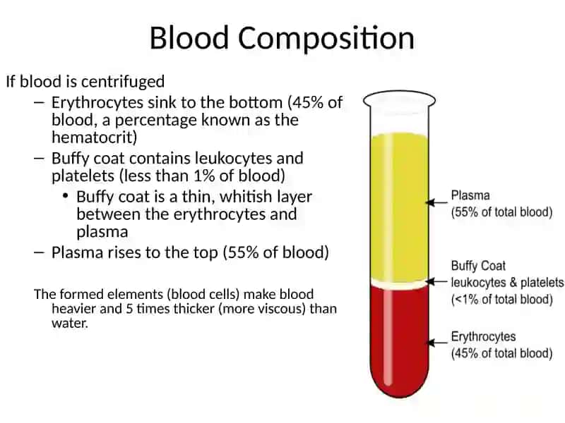 Components of Blood 3