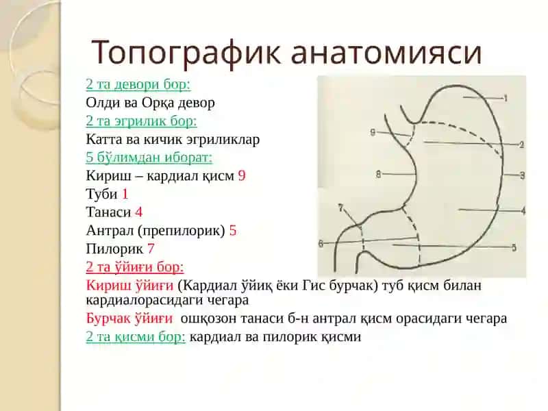 Меъда 3