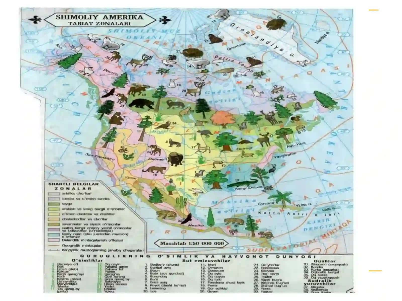 Qutbiy mintaqa tuproqlari (Arktika, tundra va o’rmon tundra) 3