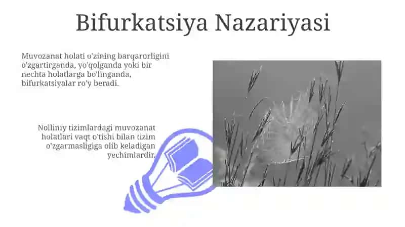 Nochiziqli sistemalarda muvozanat holatlari 3