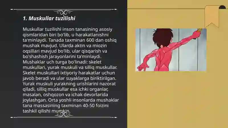 Muskul haqida taʼlimot. Muskullar turlari shakllanishi 3