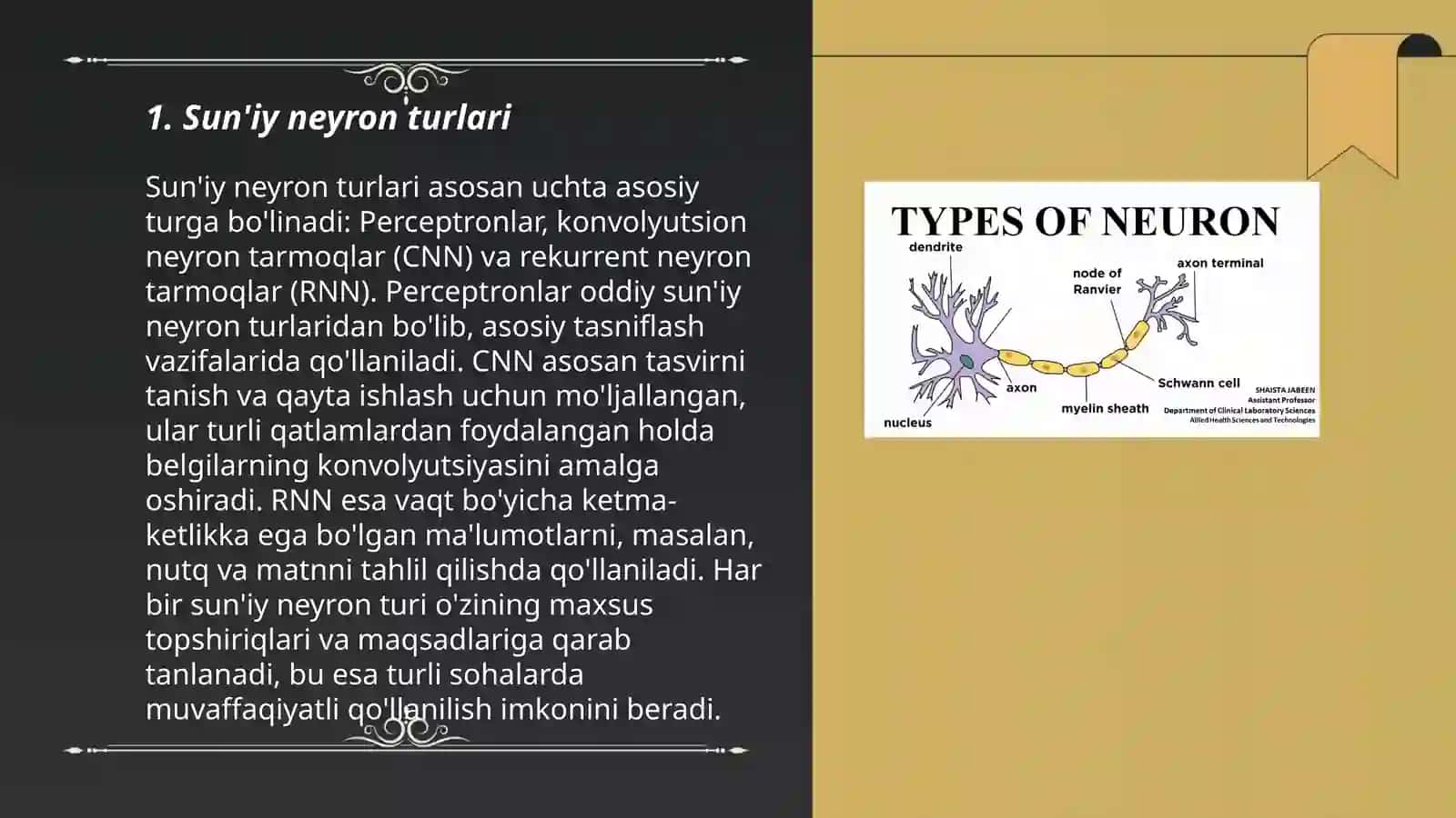 Suniy neyron turlari va ularning biologik neyronlardan farqi 3