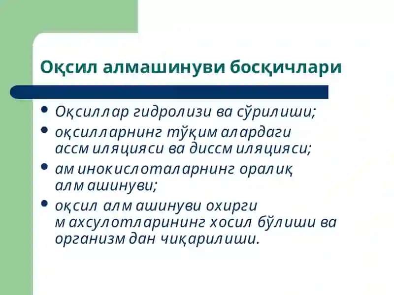 Оқсил алмашинуви 3