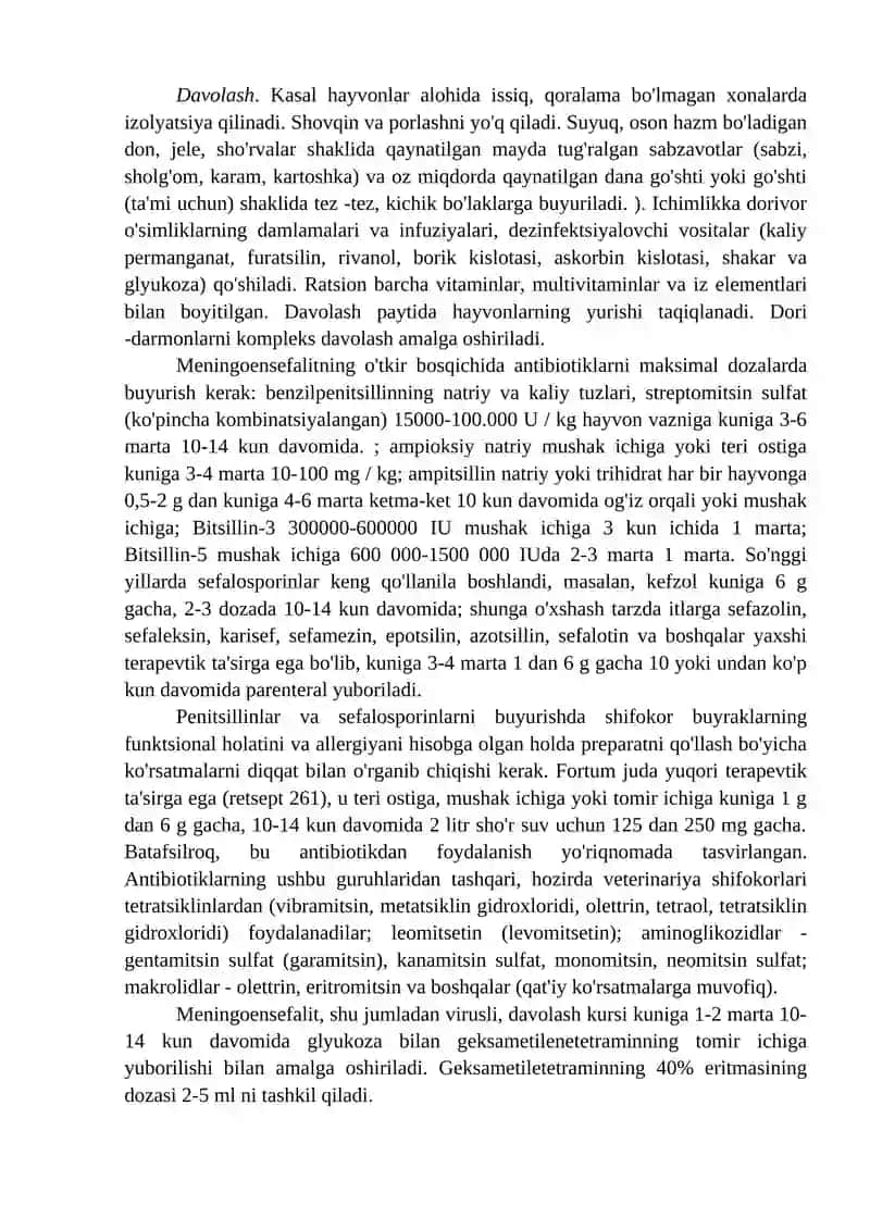 Meningoensefalit 3